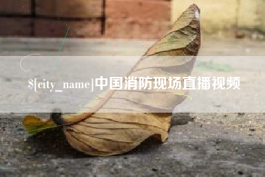 聊城中国消防现场直播视频