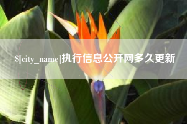 聊城执行信息公开网多久更新