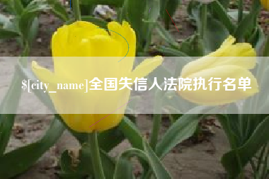 聊城全国失信人法院执行名单