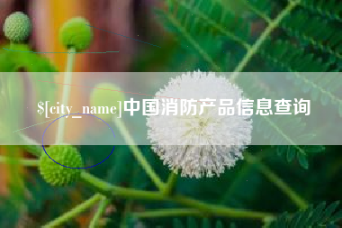 聊城中国消防产品信息查询