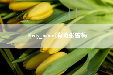 聊城消防张雪梅