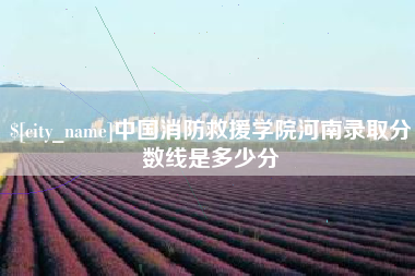 聊城中国消防救援学院河南录取分数线是多少分