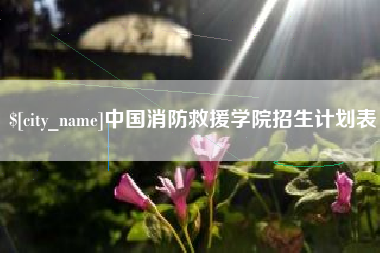 聊城中国消防救援学院招生计划表