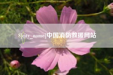 聊城中国消防救援网站