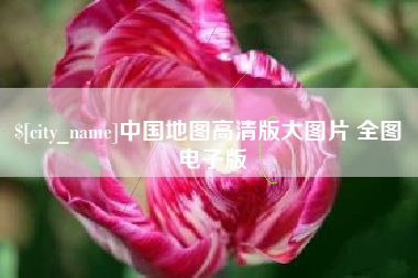 聊城中国地图高清版大图片 全图 电子版