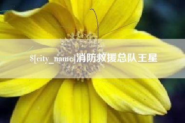 聊城消防救援总队王星