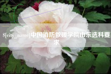 聊城中国消防救援学院山东选科要求