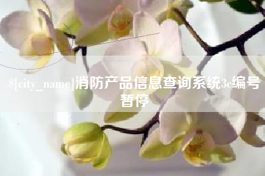 聊城消防产品信息查询系统3c编号暂停