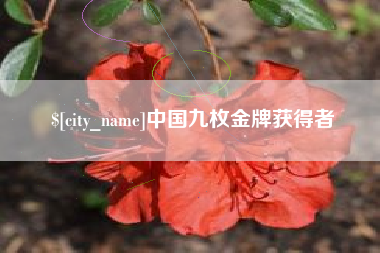 聊城中国九枚金牌获得者