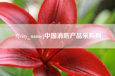 聊城中国消防产品采购网