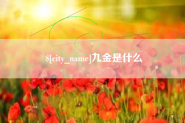 聊城九金是什么