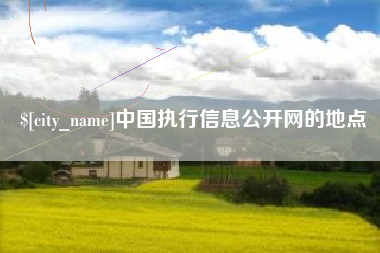 聊城中国执行信息公开网的地点