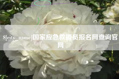 聊城国家应急救援员报名网查询官网
