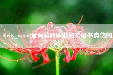 聊城查询消防职业资格证书真伪网站