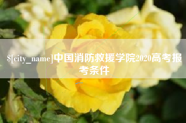 聊城中国消防救援学院2020高考报考条件