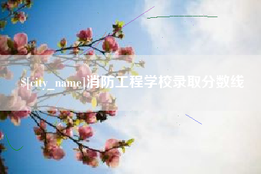 聊城消防工程学校录取分数线