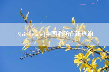 聊城中国消防在线查询