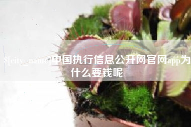 聊城中国执行信息公开网官网app为什么要钱呢