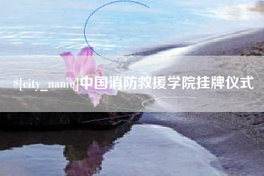 聊城中国消防救援学院挂牌仪式