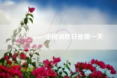 聊城中国消防日是哪一天