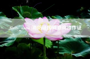 聊城消防证国网查询操作证