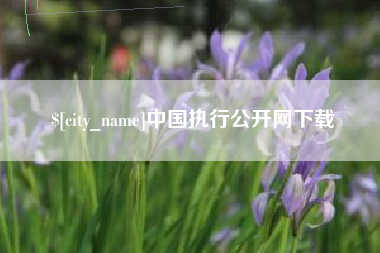 聊城中国执行公开网下载