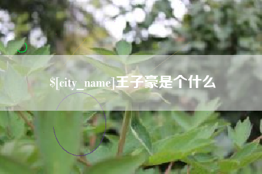 聊城王子豪是个什么