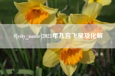 聊城2021年九宫飞星及化解
