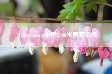聊城中国5000米国家记录