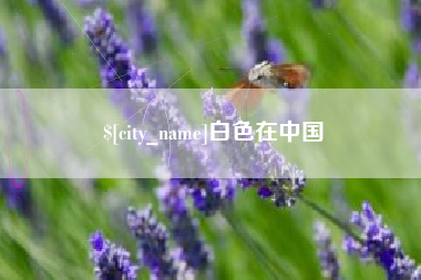 聊城白色在中国