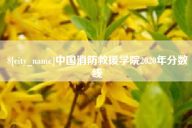 聊城中国消防救援学院2020年分数线