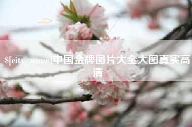 聊城中国金牌图片大全大图真实高清