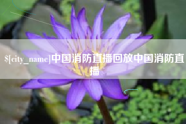 聊城中国消防直播回放中国消防直播