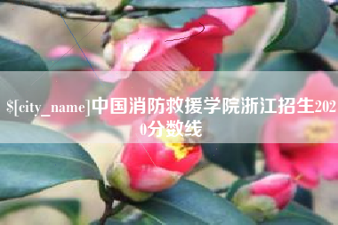 聊城中国消防救援学院浙江招生2020分数线