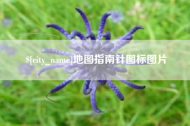 聊城地图指南针图标图片