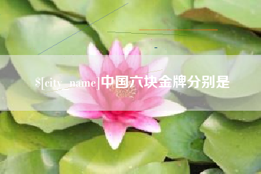 聊城中国六块金牌分别是