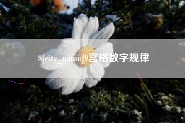 聊城9宫格数字规律