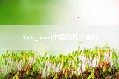 聊城中国的几个金牌
