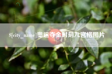 聊城奥运夺金时刻九宫格图片