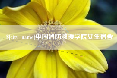 聊城中国消防救援学院女生宿舍