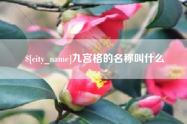 聊城九宫格的名称叫什么