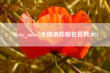 聊城全国消防报名官网2021